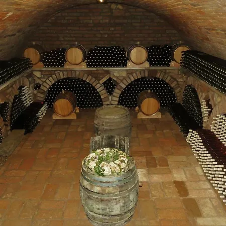 A Vinarstvi Vavricek Guest house Brezi