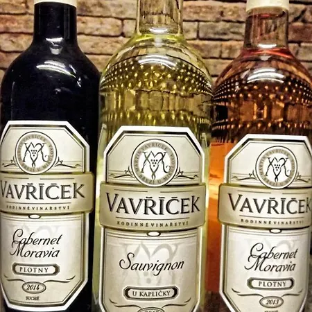 Penzion A Vinarstvi Vavricek Brezi (Breclav)