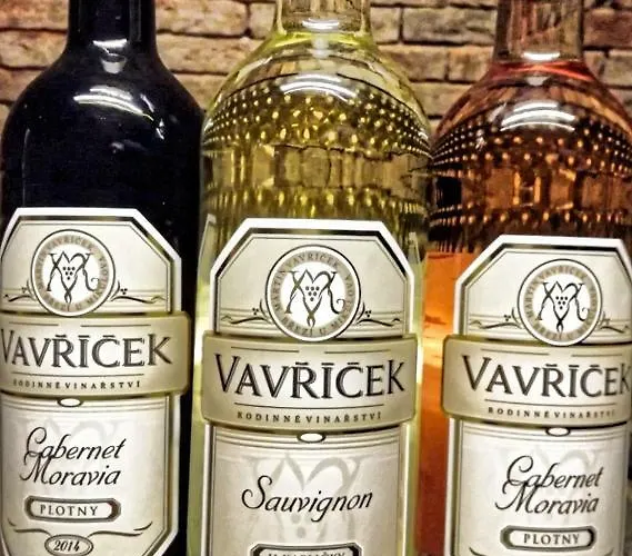 بيت ضيافة A Vinarstvi Vavricek Brezi (Breclav)