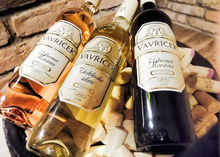 A Vinarstvi Vavricek بيت ضيافة 3*